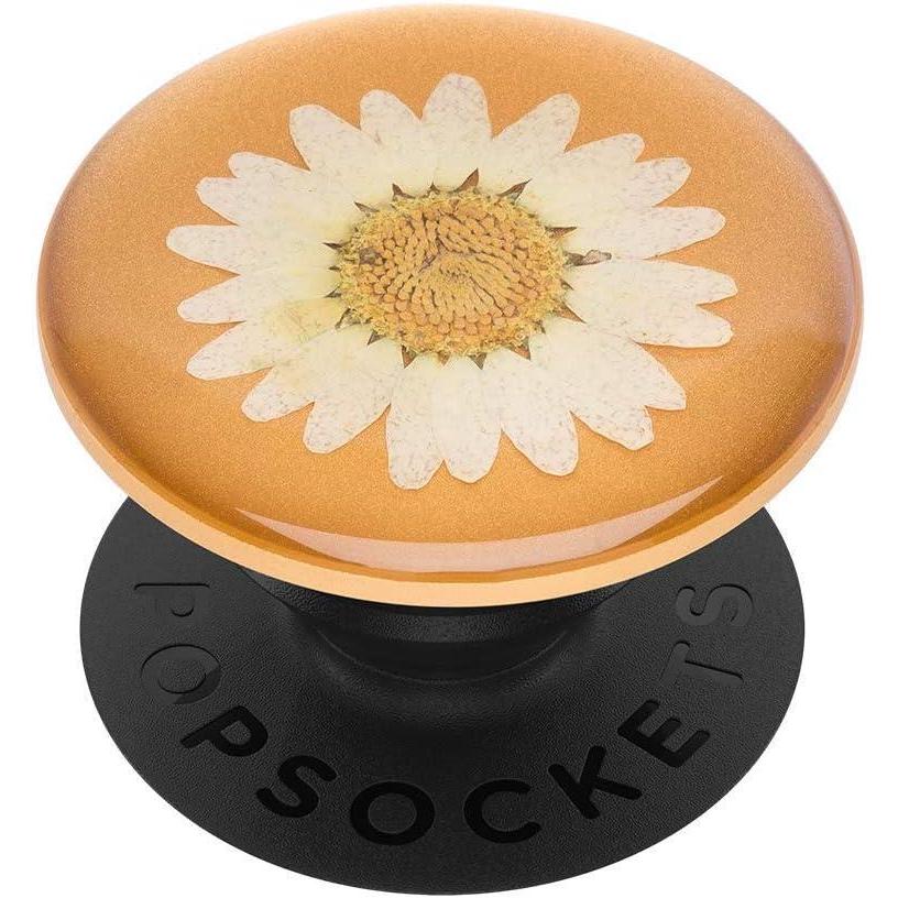 imagePopSockets Phone Grip for MagSafe with Kickstand Magnetic Stand Swappable Top Secure Hold for iPhone MagSafe Cases Phone ampamp Tablet Grip Cute PopSockets  Enamel Ginkgo OxbloodPressed Daisy