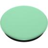 PopSockets Phone Grip with Expanding Kickstand- Pastel Green PopSockets MagSafe PopGrip for iPhone(Standard)