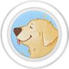 PopSockets Phone Grip – Dog PopSocket – Golden Boy PopSockets Adhesive PopGrip(Magnetic PopGrip)