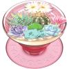 ​​​​PopSockets Phone Grip with Expanding Kickstand, Adhesive Grip, PopOut, POKEMON – Hey Pikachu!(Terrarium)