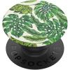 Monstera