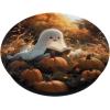 Cute Ghost Reading a Book with Pumpkin at Fall PopSockets Adhesive PopGrip(Adhesive PopGrip)
