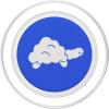 PopSockets Turtle Phone Grip & Stand – Cloud Turtle PopSockets PopGrip for MagSafe(Magnetic PopGrip)