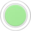 PopSockets Phone Grip – Light Green PopSockets PopGrip for MagSafe(Magnetic PopGrip)