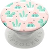 Cactus Pot