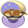 Sleeping Eevee